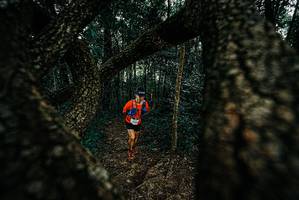 BIB: 
                            <button type="button" onclick="openModal(25676675)" class="btn btn-primary btn-sm float-right btn-popup" data-toggle="modal" data-target=".modal-high-quality">
                        <i class="fas fa-shopping-cart"></i> Add to Cart
                    </button>
                                            <button type="button" onclick="isThisMe(25676675, true)" class="btn btn-success btn-sm float-right btn-popup btn-isme hidden" data-toggle="tooltip" data-placement="bottom" title="นี่คือรูปของคุณใช่ไหม คลิกที่นี่เพื่อเอาเข้าอัลบั้ม">
                        <i class="fas fa-plus"></i> Add to album
                    </button>
                    <button type="button" onclick="isThisMe(25676675, false)" class="btn btn-warning btn-sm float-right btn-popup btn-isnotme hidden">
                        <i class="fas fa-ban"></i> Remove from album
                    </button>